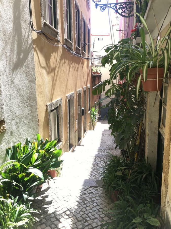 Casa Da Saudade, A Cozy Apartment In Alfama ลิสบอน ภายนอก รูปภาพ